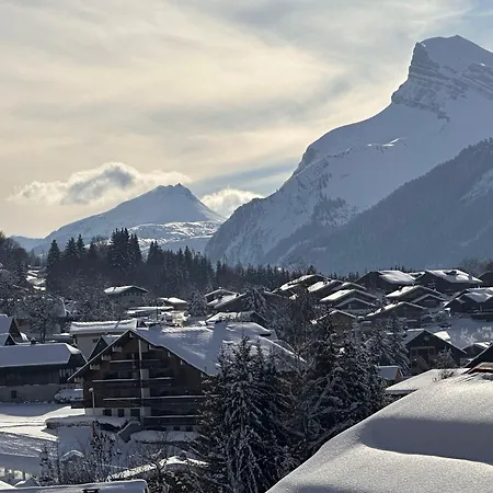 Duplex 6 Pers Sur Pistes Debutants Avec Parking - Les Carroz D'araches - Fr-1-572-74 * Arâches